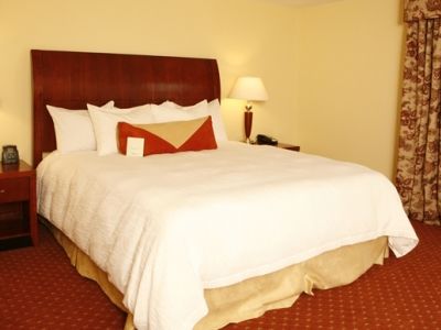 Hilton Garden 3*